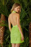 VESTIDO CURTO CHEMISIE GOLA COLEÇÃO VERÃO 24